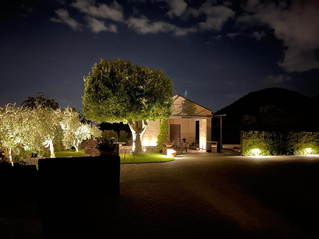 زافيرانا إتنيا La Casa Dell'Alloro المظهر الخارجي الصورة