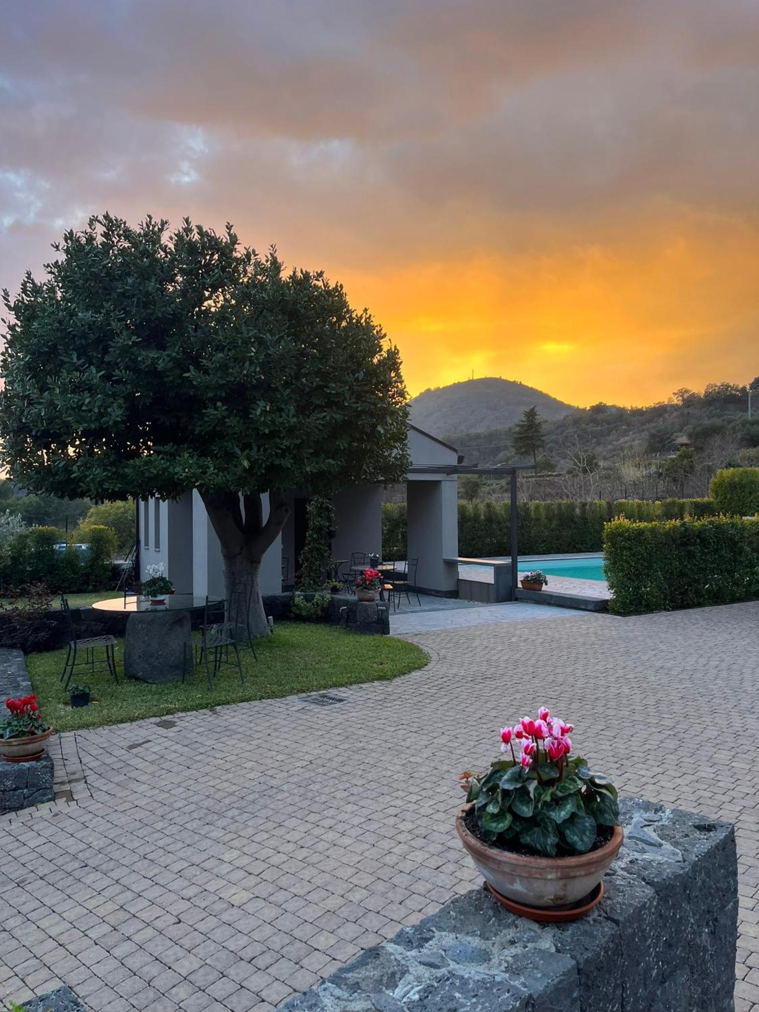 زافيرانا إتنيا La Casa Dell'Alloro المظهر الخارجي الصورة