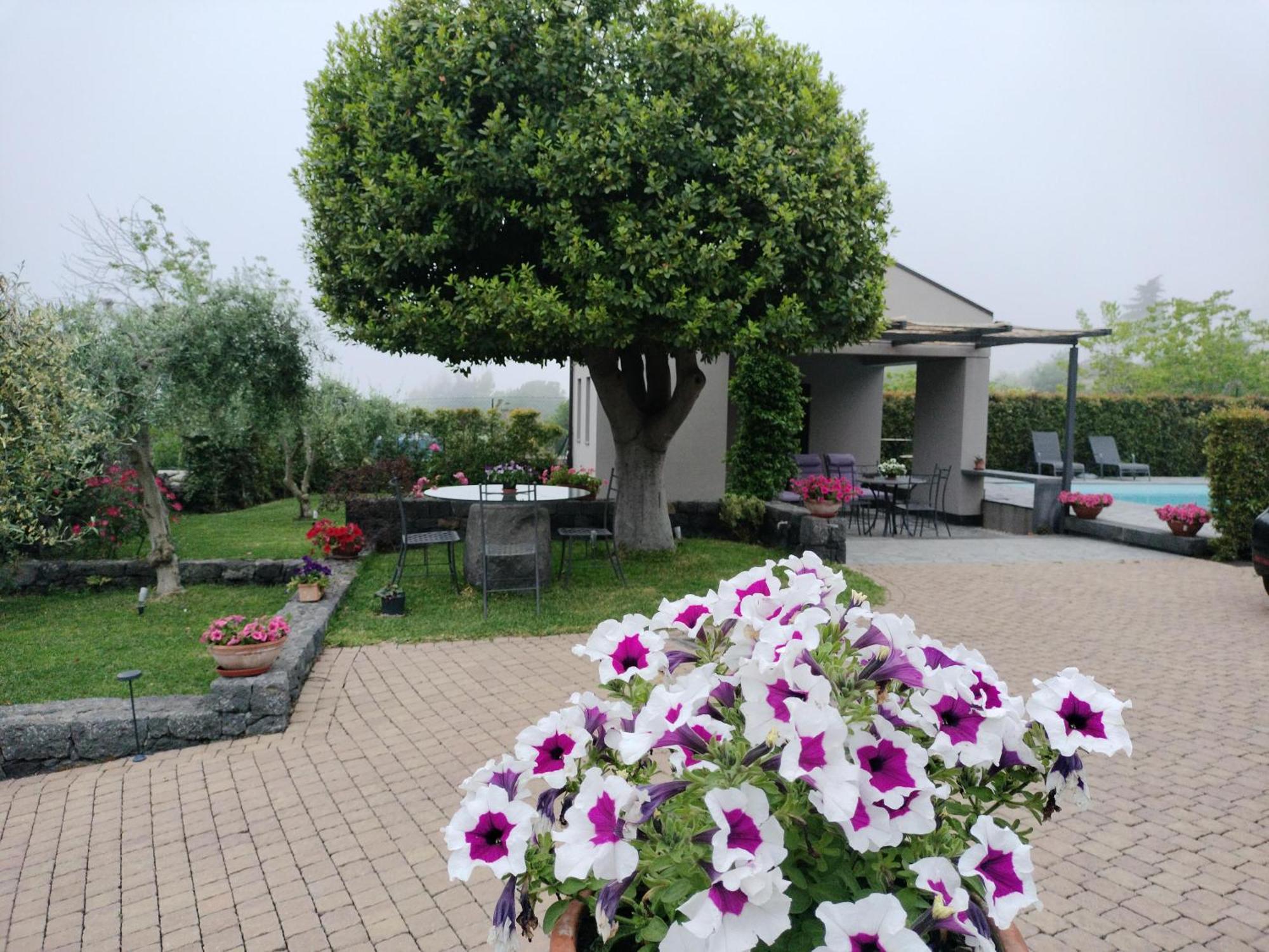 زافيرانا إتنيا La Casa Dell'Alloro المظهر الخارجي الصورة